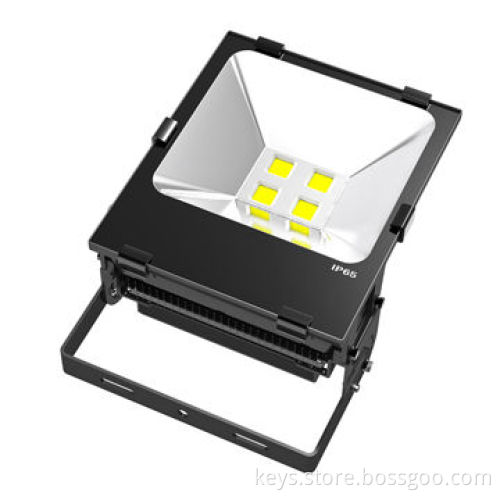 Fins shell 200W LED floodlight, warm/pure white, 2 years warranty